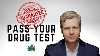 100% Guaranteed Way to Pass Your Marijuana Drug Test | This is the ONLY way to Successfully Pass