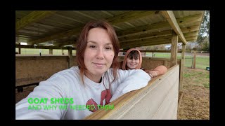 A SIMPLE GOAT SHED , and why you should build one.