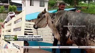 സാന്ത്വനം പദ്ധതി തുടങ്ങി ; ഒരു കോടി അൻപത്തിയഞ്ച് ലക്ഷം ചെലവിടും | Santhwanam Project launched