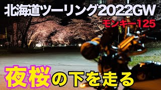 モンキー125 大型から乗り換えて2回目の 北海道ツーリング 2022GW #4 ライトアップされた夜桜の下を走ると最高だった！　＃優駿さくらロード　＃二十間道路