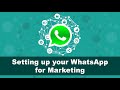 WhatsApp Marketing Basics - Here's how to set up your WhatsApp for marketing