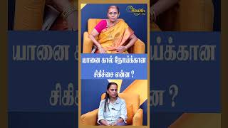 யானை கால் நோய்க்கான சிகிச்சை என்ன.! Lymphatic Filariasis | Padma Patti #shorts