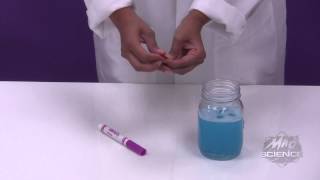 Mad Science of West New Jersey - Ghost Bubbles Experiment