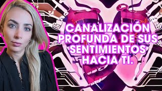 CANALIZACIÓN PROFUNDA DE SUS SENTIMIENTOS HACIA TI. #tarot #amor  #canada