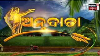 Annadata | Odisha Farming | Odisha Top News | 13th Oct 2022 | News18 Odia