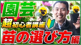 【園芸の基本】超初心者向け講座！苗選びのポイント編！🌱〜お店で苗を選ぶ時のコツを徹底解説！🔥〜