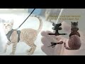 rabbitgoo cat harness and rabiitgoo kitten harness with leash for walking