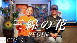 【COVER】BEGIN - 三線の花 / cover by Sayamusic \u0026 Syuka // PORTS music // #路上ライブ #歌うま #沖縄