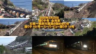 2020年2月23日 踊り子号　全列車 石橋～根府川通過の詰め合わせ 踊り子 101号～スーパービュー踊り子 14号(185系、251系)