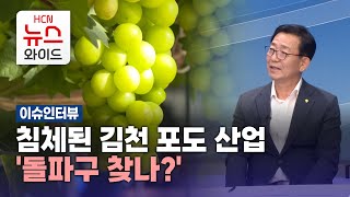 [이슈인터뷰] 침체된 김천 포도 산업 '돌파구 찾나?/HCN