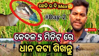 କେବଳ 5 ମିନିଟ୍ ରେ ଧାନ 🌾 କଟା ଶିଖନ୍ତୁ😱‼️ ଛେଳି 🐐 ର ବି Max ଅଛି 🧐#vlog  #rice#youtubevideo