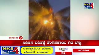 ತೆಕ್ಕಲಕೋಟೆ : ಸಿಡಿಲಿನ ಬಡಿತಕ್ಕೆ ತೆಂಗಿನಕಾಯಿ ಗಿಡ ಭಸ್ಮ|NKS TV4