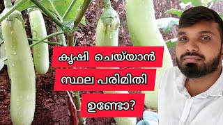 കൃഷി ചെയ്‌യാൻ സ്ഥല പരിമിതി ഒരു പ്രേശ്നമേ അല്ല | ഉള്ള സ്ഥലത്ത് പൊന്നു വിളയിക്കാം