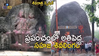 ప్రపంచంలో అతిపెద్ద సహజ శివలింగం.. | Gariaband Bhuteshwar Mahadev Temple | #Shivarathri Special 2025