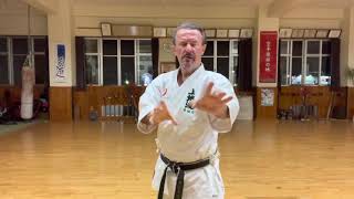 Uechiryu Fukyū Kata 3 “Wauke-Nūjidi” block explained 普及型3 回し受け〜ぬーじでぃ説明 #karate #空手 #上地流 #uechiryu