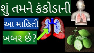 કંકોડા ના ફાયદા આયુર્વેદમાં કંકોડા લાભકારી ફાયદાઓ કંકોડા ના શાક ના ફાયદા