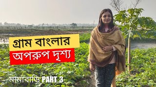 গ্রাম বাংলার অপরূপ দৃশ্য | Village Beauty of Bangladesh | Natural Scenic View