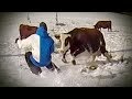 Candide Thovex charged by a COW