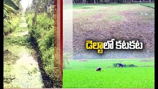 Water Troubles for Agriculture | Making Godavari Delta Farmers Unhappy