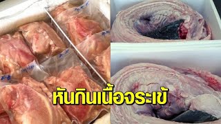 เนื้อจระเข้มาแรง! คนขอซื้อถล่มทลาย กินแทนหมูแพง โลละแค่ 70.- ก๋วยเตี๋ยวจระเข้ ยอดขายพุ่ง