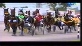 2004 NZ Trotters Free For All