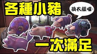 【兔王遊戲生活】［攻略］MHW 噗吱豬 服裝造型地點 | 快來幫小豬換衣服吧~♪