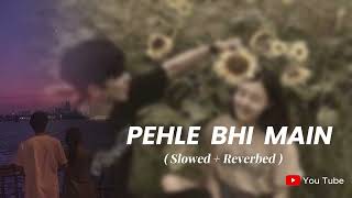 Pehle Bhi Main (Slowed + Reverb) | Vishal Mishra | Animal | H.Screations