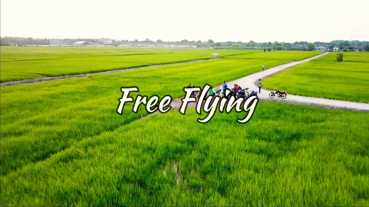 Free Flight Training Youtube