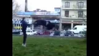 ParkouR in Florina!