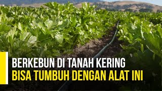 Selang Tetes Irigasi Rivulis, Cara Cerdas Mengairi Kebun Anda!