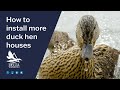 How to install more duck hen houses in 600 easy steps