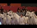 madrid horse week 2016 lorenzo horse show