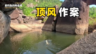 【野外釣魚】越搶手的釣位越出魚！有這麼大的鯽魚誰不愛？確實好刺激！