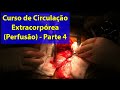 Curso de Perfusão Extracorpórea | Circulação Extracorpórea | CEC | P4 - IBAP Cursos