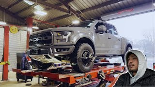 Raptor Gets In The Shop