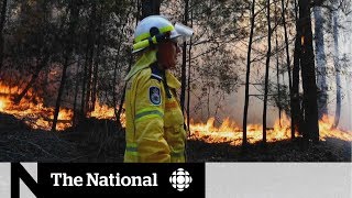 Australian wildfires entering ‘uncharted territory’