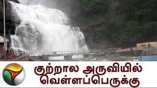 குற்றால அருவியில் வெள்ளப்பெருக்கு | Courtallam