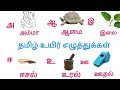 அ ஆ இ ஈ தமிழ் உயிர் எழுத்துக்கள் A Aa E Ee Tamil uyir Ezhuthukal