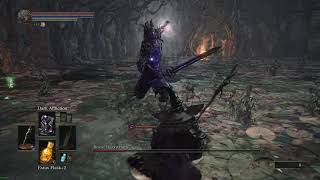 Dark Souls 3: Convergence Mod, Royal Darkwraith (no damage)