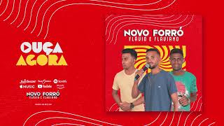 DEDINHO DE NÃO_ NOVO FÓRRO FLAVIO E FLAVIANO