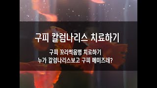 구피꼬리가썩었나요? 칼럼나리스 치료하자~~~