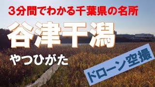 ３分でわかる千葉県の名所「谷津干潟」【ドローン空撮】やつひがた