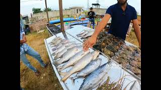 জমে উঠতে শুরু করেছে বিরুলিয়া ব্রিজের পাশেই নতুন ফুড কোড!!!