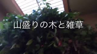 初まりの姿 劇的ビフォーアフター #DIY#リフォーム#古家