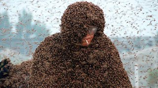 5 INSANE Guinness World Records