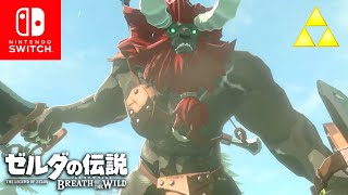 【ゼルダの伝説botw】ライネルとの闘い＆電気の矢集め（退却） #47