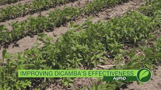 Dicamba Effectiveness #1009 (Air Date 8-6-17)