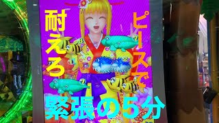 【メダルゲーム】緊張の5分を耐えろ！ 海物語in沖縄ウキウキバケーション