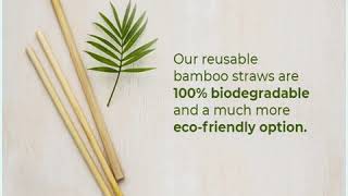 Natural Bamboo Straws