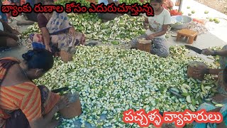 ఈ ఊరు ఊరంతా పచ్చళ్లె //pickles village// || News 24 ||